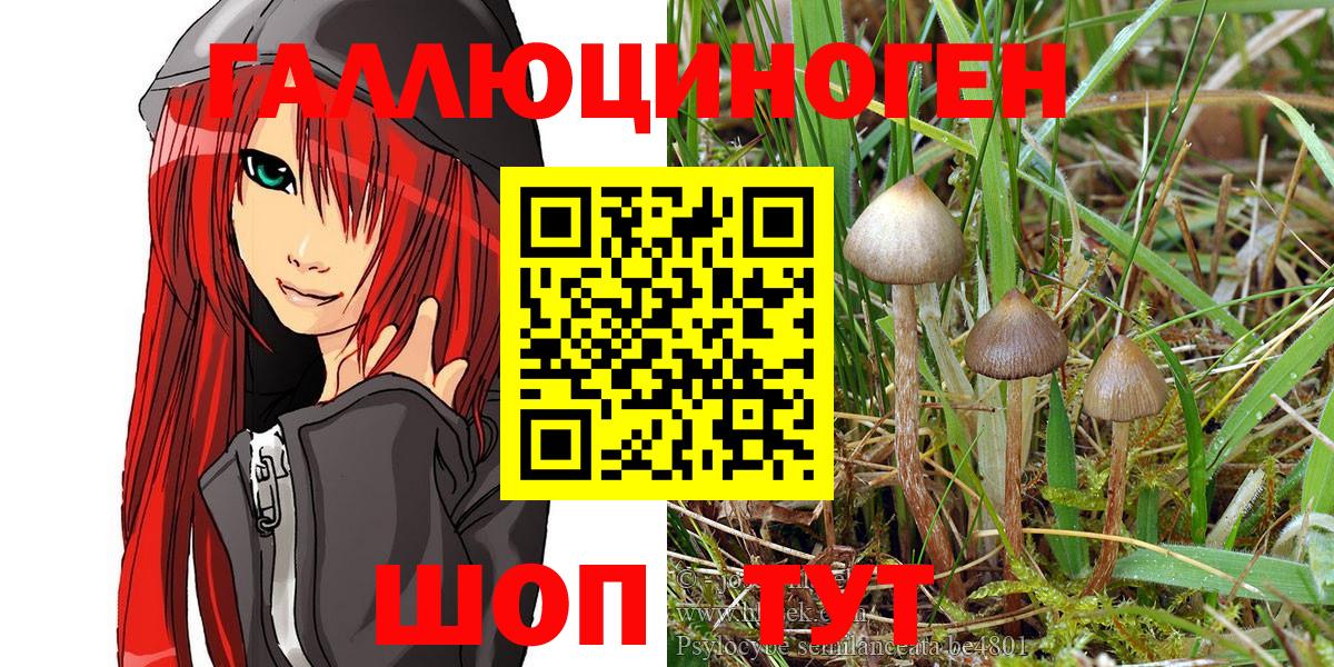 Псилоцибиновые грибы MAGIC MUSHROOMS  Вход с VPN  Коломна 